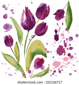 Watercoolor. Tulips.