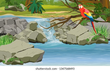 Waterfall in the jungle. Bright macaw parrot on the branches of a tropical tree. Rock, creepers, banana trees and epiphytic ferns. South America and Africa. Realistic Vector Landscape