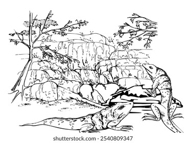 Cascada en rocas rocosas con árboles, corriente de agua, pared de piedra, lagartijas de iguana. Ilustración vectorial de tinta dibujada a mano, paisaje escénico aislado. Viajes de diseño, vacaciones, folleto, tours de naturaleza