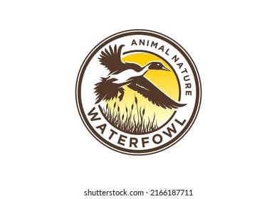 Waterfowl mallard logo design water bird fly grass wings, duck swan river lake