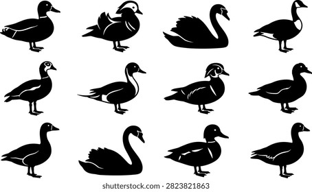 Waterfowl vector icon set featuring duck, swan, goose, mallard, mandarin duck, and Canada goose silhouettes.