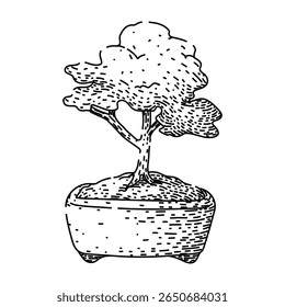 molhando bonzai árvore desenhada à mão. fiação de fertilizante, aparando estilo, ferramentas de repotting molhando bonzai árvore esboço vetor. ilustração preta isolada