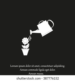 Watering can with flower