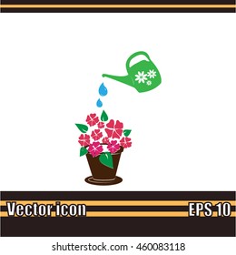 watering can with flower