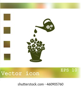 watering can with flower