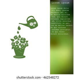 watering can with flower