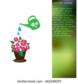 watering can with flower