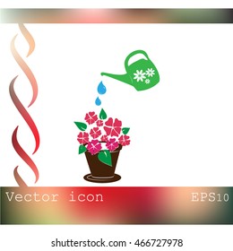 watering can with flower