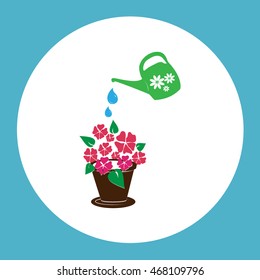 watering can with flower
