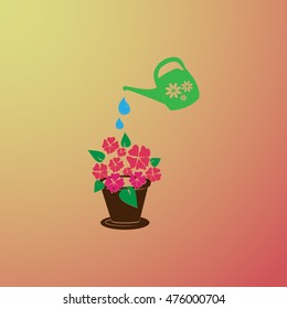 watering can with flower