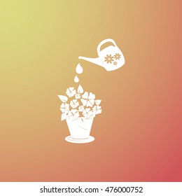 watering can with flower