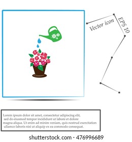 watering can with flower