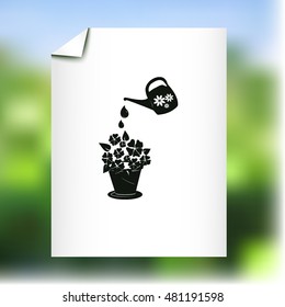 watering can with flower