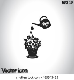 watering can with flower
