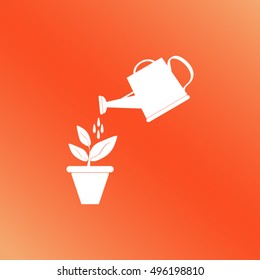 Watering can with flower