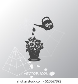 watering can with flower