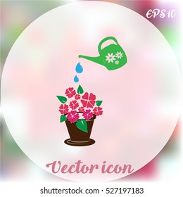 watering can with flower
