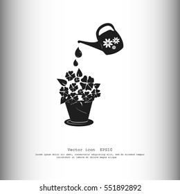 watering can with flower