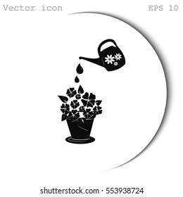 watering can with flower