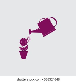 Watering can with flower