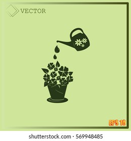 watering can with flower