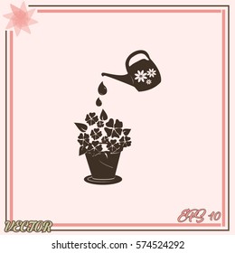 watering can with flower