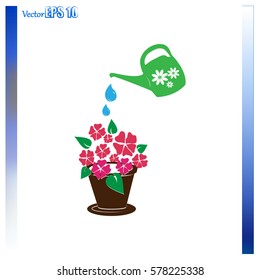 watering can with flower