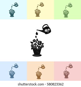 watering can with flower