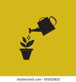 Watering can with flower