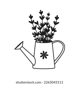 Watering can with hand drawn lavender flowers. Vector illustration. Simple doodle style.