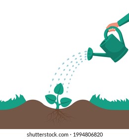 Watering can hold in hand. Watering, fertilizer young sapling falling drop of water isolated. Plant sprout. Vector illustration flat design. Isolated on white background. Give life to a young sprout. 