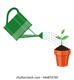 Watering can and plant in the pot. Growing idea concept.