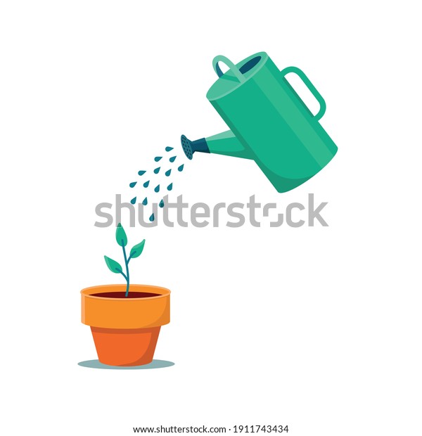 Watering\
can and plant in the pot. Vector\
illustration.