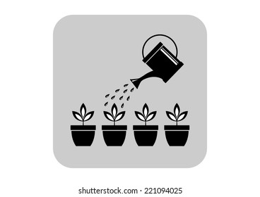 Watering can and plants