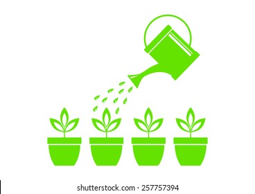 Watering can and plants on white background