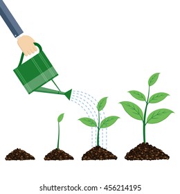 Watering can and plants on white background.