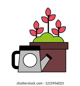 watering can and plants in pot gardening