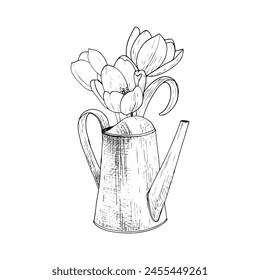 Regar lata tulipán flor Ilustración vectorial metal. Decoración curvada de jardinería agua. Dibujo gráfico de contorno negro. Contorno de silueta de contorno de línea de tinta. La herramienta deja ramo blanco rosado. Cabeza en flor