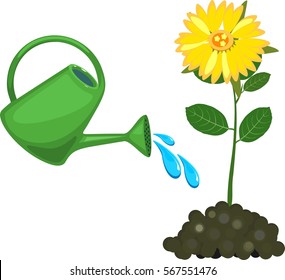 Watering can waters flower