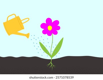 Watering flower. Plant care concept. 