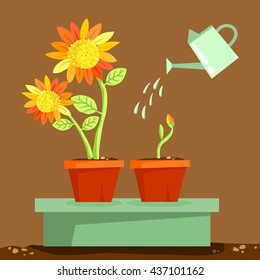 
watering the flowers
