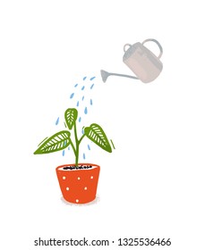 Watering of home plant with green leaves in orangle pot. Hand drawn illustration of home gardening, symbol of care and growth