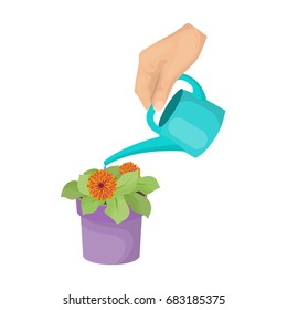 Watering the houseplant in a pot. Home Flower single icon in cartoon style vector symbol stock illustration web.