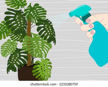 Watering indoor plants. Growing plants. Irrigation. Isolated on white background. Growth concept.