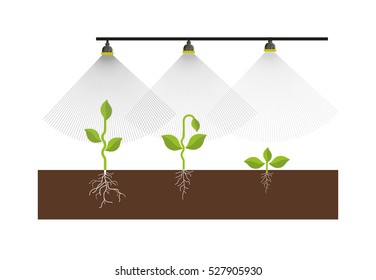 Watering irrigation system. Automatic sprinklers watering. Vector illustration
