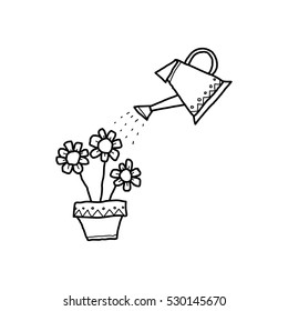 Watering the plant