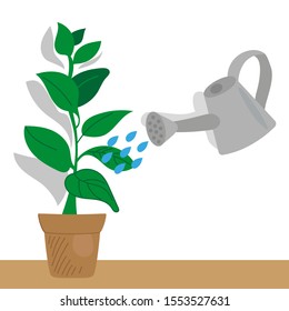 Watering a plant from a watering can