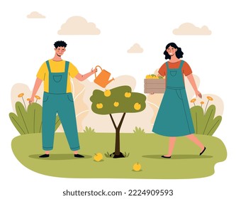 Watering Plants Concept. Man And Woman Next To Fruit Tree. Young Guy And Girl Picking Apples. Farming And Agriculture, Harvest. Love For Nature And Ecology Metaphor. Cartoon Flat Vector Illustration