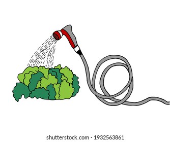 Watering plants with a garden hose.Cultivation of agricultural crops. Flat color, cartoon-style doodle illustration.