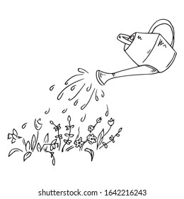 Watering the plants in the garden. Vector illustration of watering spring plants. Hand drawn.